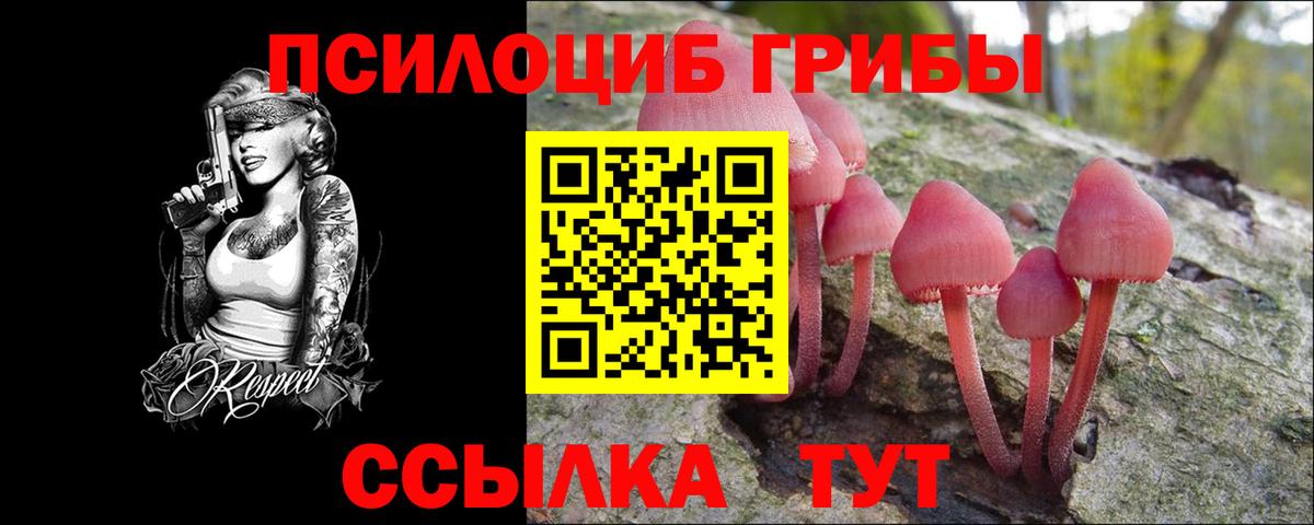 Галлюциногенные грибы MAGIC MUSHROOMS  Псилоцибиновые грибы прущие грибы  Вход с VPN  Нижний Новгород 