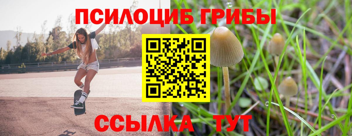 Псилоцибиновые грибы Psilocybe Нижний Новгород