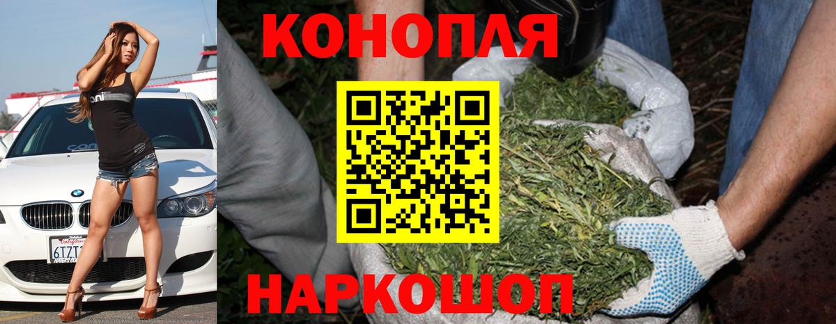 Бошки Шишки планчик Нижний Новгород
